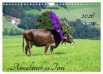 Almabtrieb in Tirol (Wandkalender 2026 DIN A4 quer), CALVENDO Monatskalender