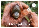 Orang-Utans (Tischkalender 2026 DIN A5 quer), CALVENDO Monatskalender