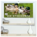 Emotionale Momente: Die Stockente. (hochwertiger Premium Wandkalender 2026 DIN A2 quer), Kunstdruck in Hochglanz