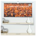 Flamingo Impressionen 2026 (hochwertiger Premium Wandkalender 2026 DIN A2 quer), Kunstdruck in Hochglanz