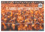 Flamingo Impressionen 2026 (Tischkalender 2026 DIN A5 quer), CALVENDO Monatskalender