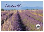 Lavendel (Wandkalender 2026 DIN A2 quer), CALVENDO Monatskalender