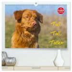 Toll, toll, Toller (hochwertiger Premium Wandkalender 2026 DIN A2 quer), Kunstdruck in Hochglanz