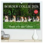 Border Collie 2026 (hochwertiger Premium Wandkalender 2026 DIN A2 quer), Kunstdruck in Hochglanz