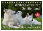 Weißer Schweizer Schäferhund - Ein Tag im Leben einer Hundefamilie (Tischkalender 2026 DIN A5 quer), CALVENDO Monatskalender