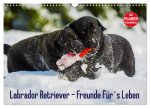 Labrador Retriever - Freunde für's Leben (Wandkalender 2026 DIN A3 quer), CALVENDO Monatskalender