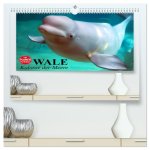 Wale. Kolosse der Meere (hochwertiger Premium Wandkalender 2026 DIN A2 quer), Kunstdruck in Hochglanz