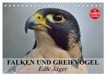 Falken und Greifvögel - Edle Jäger (Tischkalender 2026 DIN A5 quer), CALVENDO Monatskalender