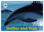 Delfine und Wale (Tischkalender 2026 DIN A5 quer), CALVENDO Monatskalender