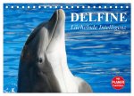 Delfine - Lächelnde Intelligenz (Tischkalender 2026 DIN A5 quer), CALVENDO Monatskalender