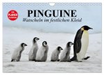 Pinguine - Watscheln im festlichen Kleid (Wandkalender 2026 DIN A4 quer), CALVENDO Monatskalender