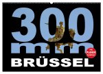 300mm - Brüssel (Wandkalender 2026 DIN A2 quer), CALVENDO Monatskalender