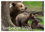 Tierbabys 2026 (Wandkalender 2026 DIN A2 quer), CALVENDO Monatskalender