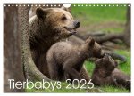 Tierbabys 2026 (Wandkalender 2026 DIN A4 quer), CALVENDO Monatskalender