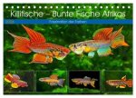 Killifische - Bunte Fische Afrikas (Tischkalender 2026 DIN A5 quer), CALVENDO Monatskalender