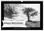 Schwarz-Weis(s)heiten (Wandkalender 2026 DIN A3 quer), CALVENDO Monatskalender