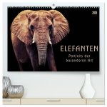 Elefanten - Portraits der besonderen Art (hochwertiger Premium Wandkalender 2026 DIN A2 quer), Kunstdruck in Hochglanz