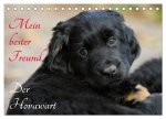 Mein bester Freund - Der Hovawart (Tischkalender 2026 DIN A5 quer), CALVENDO Monatskalender