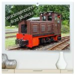 Waldeisenbahn Bad Muskau (hochwertiger Premium Wandkalender 2026 DIN A2 quer), Kunstdruck in Hochglanz