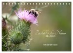 Zierbilder der Natur BLUMEN (Tischkalender 2026 DIN A5 quer), CALVENDO Monatskalender