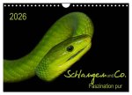 Schlangen und Co. - Faszination pur (Wandkalender 2026 DIN A4 quer), CALVENDO Monatskalender