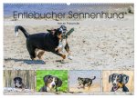Entlebucher Sennenhund - treue Freunde (Wandkalender 2026 DIN A2 quer), CALVENDO Monatskalender