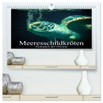 Meeresschildkröten. Nomaden der Ozeane (hochwertiger Premium Wandkalender 2026 DIN A2 quer), Kunstdruck in Hochglanz
