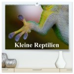 Kleine Reptilien (hochwertiger Premium Wandkalender 2026 DIN A2 quer), Kunstdruck in Hochglanz