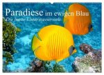 Paradiese im ewigen Blau. Die bunte Unterwasserwelt (Wandkalender 2026 DIN A2 quer), CALVENDO Monatskalender
