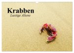 Krabben. Lustige Aliens (Wandkalender 2026 DIN A3 quer), CALVENDO Monatskalender