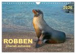Robben - überall zuhause (Wandkalender 2026 DIN A4 quer), CALVENDO Monatskalender