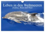 Leben in den Weltmeeren. Delfine, Wale und Haie (Wandkalender 2026 DIN A4 quer), CALVENDO Monatskalender