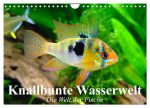 Knallbunte Wasserwelt. Die Welt der Fische (Wandkalender 2026 DIN A4 quer), CALVENDO Monatskalender