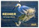 Reiher - auf langen Beinen (Wandkalender 2026 DIN A3 quer), CALVENDO Monatskalender