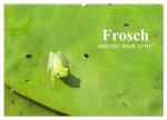 Frosch müsste man sein! (Wandkalender 2026 DIN A2 quer), CALVENDO Monatskalender