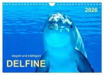 Delfine - elegant und intelligent (Wandkalender 2026 DIN A4 quer), CALVENDO Monatskalender