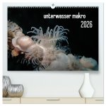 unterwasser makro 2026 (hochwertiger Premium Wandkalender 2026 DIN A2 quer), Kunstdruck in Hochglanz