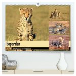 Geparden - Begegnungen in Afrika (hochwertiger Premium Wandkalender 2026 DIN A2 quer), Kunstdruck in Hochglanz