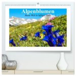 Alpenblumen. Bunte Welt in luftiger Höhe (hochwertiger Premium Wandkalender 2026 DIN A2 quer), Kunstdruck in Hochglanz