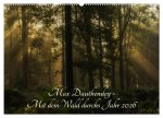 Max Dauthendey - Mit dem Wald durchs Jahr (Wandkalender 2026 DIN A2 quer), CALVENDO Monatskalender