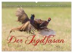 Emotionale Momente: Der Jagdfasan. (Wandkalender 2026 DIN A2 quer), CALVENDO Monatskalender