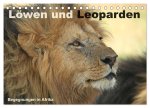 Löwen und Leoparden - Begegnungen in Afrika (Tischkalender 2026 DIN A5 quer), CALVENDO Monatskalender