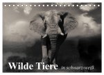 Wilde Tiere in schwarz-weiß (Tischkalender 2026 DIN A5 quer), CALVENDO Monatskalender