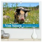 Von Säuen die Schwein haben! (hochwertiger Premium Wandkalender 2026 DIN A2 quer), Kunstdruck in Hochglanz
