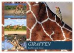 Giraffen - Sanftheit und Anmut (Wandkalender 2026 DIN A3 quer), CALVENDO Monatskalender