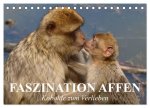 Faszination Affen. Kobolde zum Verlieben (Tischkalender 2026 DIN A5 quer), CALVENDO Monatskalender