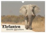 Elefanten. Sensible Rüsseltiere (Wandkalender 2026 DIN A4 quer), CALVENDO Monatskalender