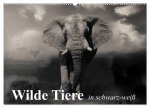Wilde Tiere in schwarz-weiß (Wandkalender 2026 DIN A2 quer), CALVENDO Monatskalender