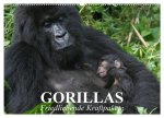 Gorillas. Friedliebende Kraftpakete (Wandkalender 2026 DIN A2 quer), CALVENDO Monatskalender