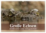 Große Echsen. Krokodile und Alligatoren (Wandkalender 2026 DIN A2 quer), CALVENDO Monatskalender